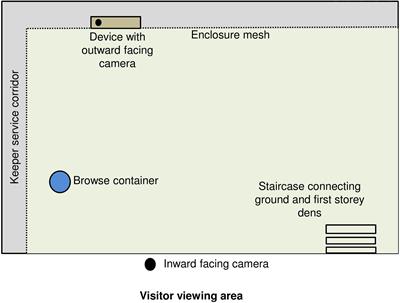 High-Tech and Tactile: Cognitive Enrichment for Zoo-Housed Gorillas